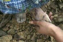 重建心灵家园，学院开放心理危机干预公益课